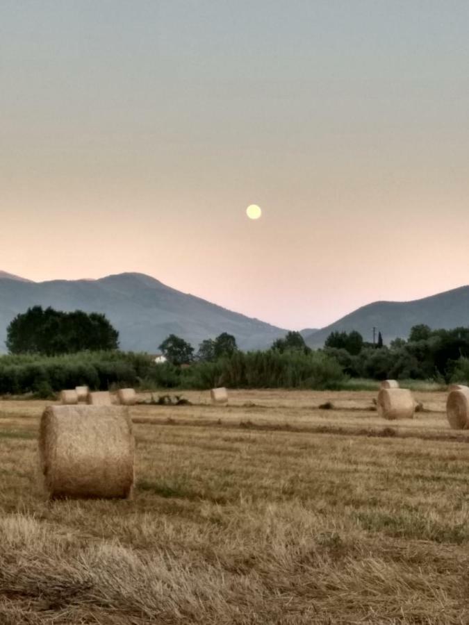 Il Giardino Delle Zagare Panzió Fondi Kültér fotó